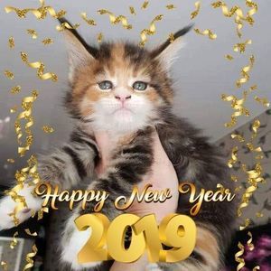 Meet your Posher, Terri